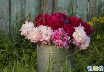 让你过目不忘的八字句子 布衣饭菜可乐终身2