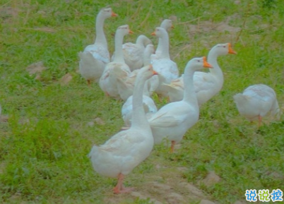 放在心头的个性心情说话 心一旦离开就再不会回来2