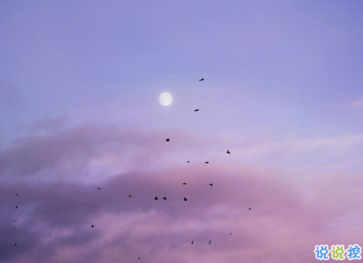 让人很惊艳的唯美句子 那些像诗一样的句子2