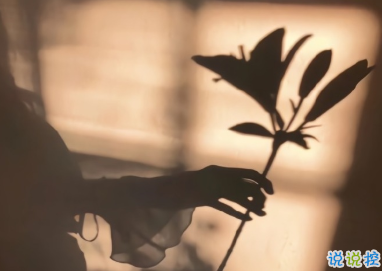 中秋配上国庆的可爱句子 中秋国庆都在一起了2