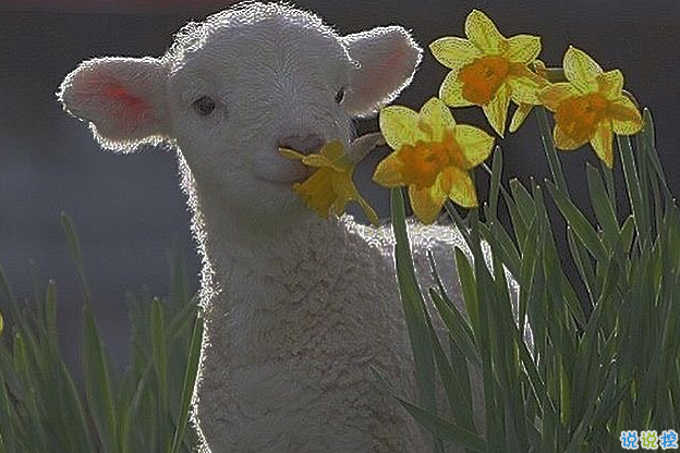 特别委屈时发的朋友圈文案 道听途说你怎么不直接问我1