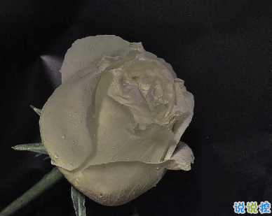 十月来临早安心语 崭新的十月所有一切重新书写1