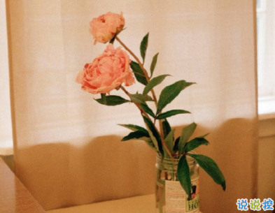 十一中秋遇到国庆的说说 国安所以家圆1