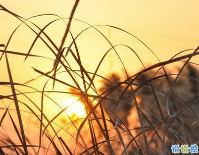 用来表达爱情的诗句 诗意且唯美的句子7