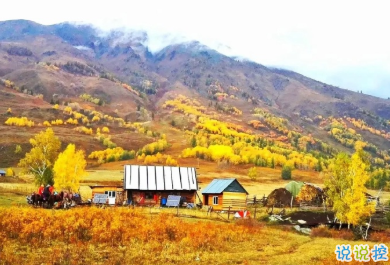 用来表达爱情的诗句 诗意且唯美的句子10