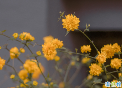 适合国庆结婚发的朋友圈 让浪漫挂起快乐的风帆13