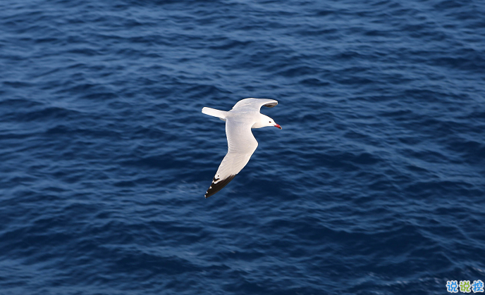 那些珍藏在备忘录的句子 求之不得往往不求而得2