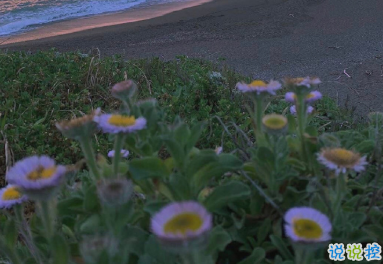 生活中教你识人的文案 让你受益的经典语录1