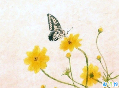 朋友圈恋爱纪念日文案 想继续和你看星空12