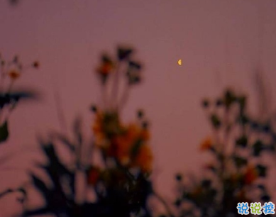 一眼就喜欢的发朋友圈小句子 吸睛的朋友圈小句子8