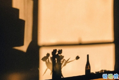 2020晚安的温馨句子 我先睡了明天再想你15