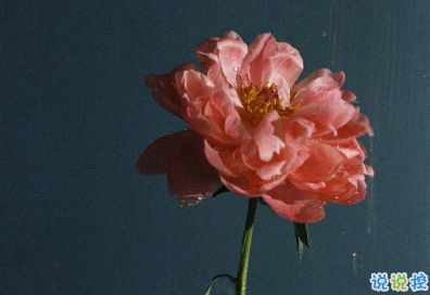 旅行时发的文艺简短句子 孤独的人有他们自己的沼泽1