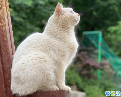 骂人不带脏字的高质量文案 沙雕搞笑的文案1