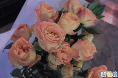 让你一眼就能心动的图片说说 清晨和夜晚都请用力去生活11