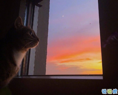 对异地的他表达思恋的句子 再相逢希望我们都在更高处 12