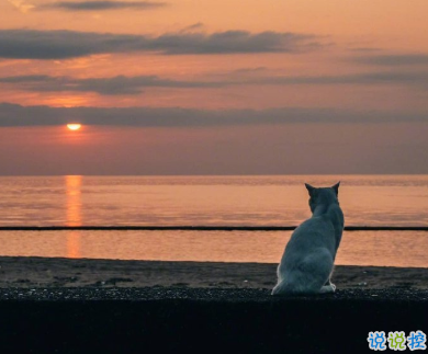 对异地的他表达思恋的句子 再相逢希望我们都在更高处 13