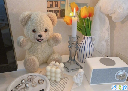 发朋友圈的高级感唯美说说 不爱孤单久也习4