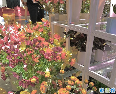 朋友圈爆笑可爱的自拍文案 让人笑到停不下来的说说2