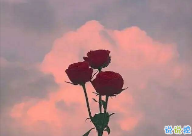 朋友圈秒赞的打工人的经典语录 做一个舒舒服服的打工人1