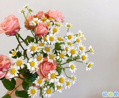 温柔干净的高质量走心文案 世界继续热闹我仍然是我2