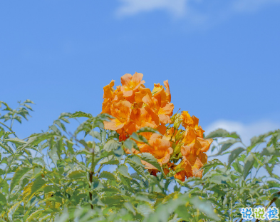 适合十一月发朋友圈的心情文案 十一月都要过的足够好1