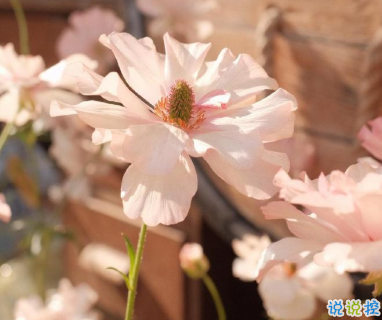 适合十一月发朋友圈温暖人心的文案 放弃不难但坚持一定很酷8