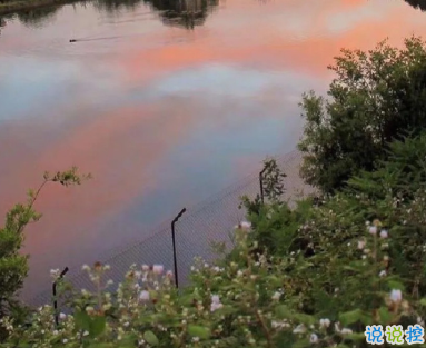 2021适合跨年夜官宣恋爱的句子 以后的生活里都有你这个小可爱2