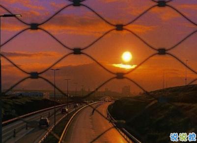 2021很有诗意内涵的晚安句子 桐花万里路连朝语不息4