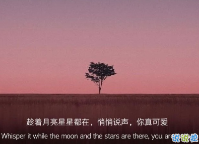 2021很有诗意内涵的晚安句子 桐花万里路连朝语不息13