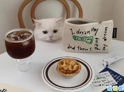 2021超有趣的早安文案带图片 让你变得有趣的早安文案9