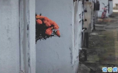 幽默搞笑说说很皮的朋友圈短句 做一个超级可爱的朋友圈文案人2