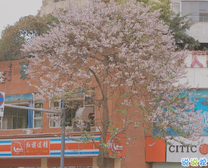 表白表达浓浓爱意的句子 含蓄却很打动人的句子2