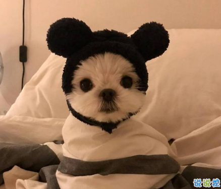 三观很正值得被珍藏起来的温柔句子 双向的奔赴才有意我不说我等你来2