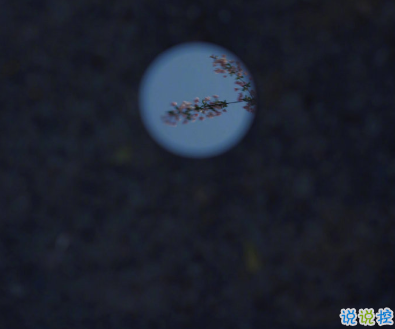 写给2021的的励志短句 鼓励自己奋斗的短句4