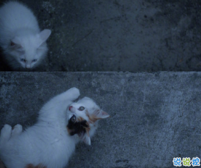 写给2021的的励志短句 鼓励自己奋斗的短句5