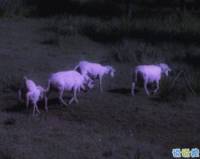 写给2021的的励志短句 鼓励自己奋斗的短句11