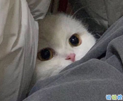 写给2021的的励志短句 鼓励自己奋斗的短句12