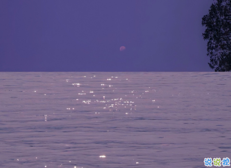 揭穿人生真相的经典句子 值得深思的精辟语录14