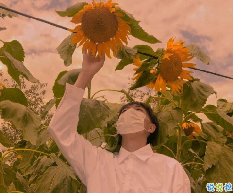 抖音一些和少年有关的文案 关于少年的惊艳时光的文案1