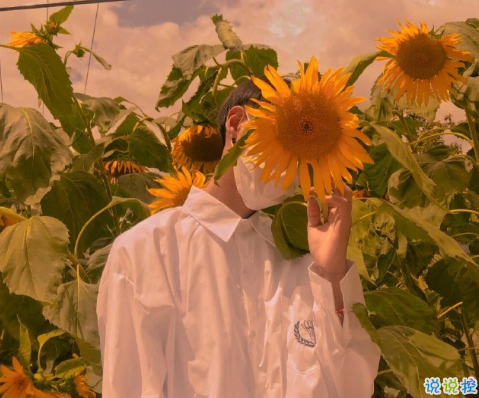 抖音一些和少年有关的文案 关于少年的惊艳时光的文案2