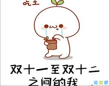 双十二的剁手搞笑文案2020 2020双十二朋友圈心情说说7