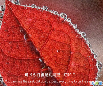 2021年超级励志句子 给2021年带来动力的句子7