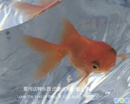 2021年超级励志句子 给2021年带来动力的句子12