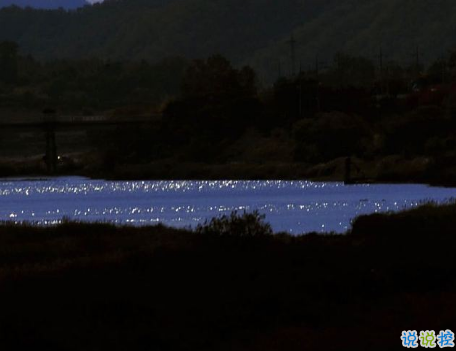 爱而不得有点丧的说说 很扎心的伤感说说2