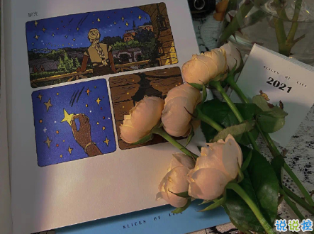  一些适合任何场景的万能句子 优雅又有深意的句子2