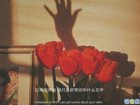 30条超级可爱的表白恋爱小句子 浪漫至极表白必备的文案1