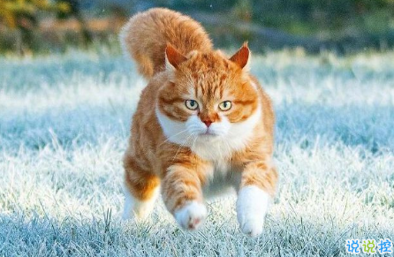 让自己很清醒的说说 很经典的透彻句子2