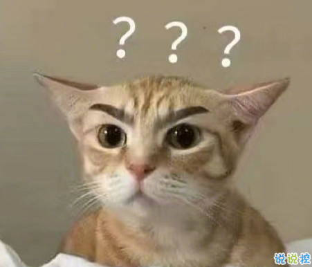 2021超级幽默可爱的怼人句子大全 2021网络怼人流行语 1