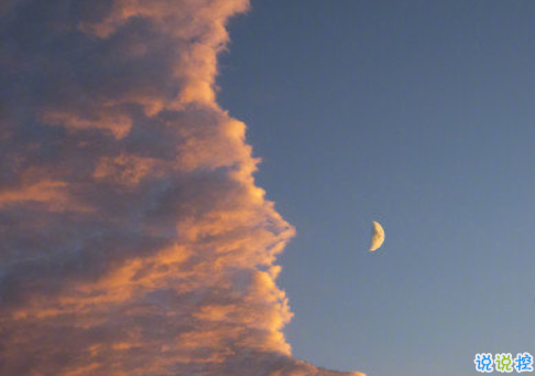 很隐晦的表达自己要离开的句子 暗示自己心累要离开的文案2