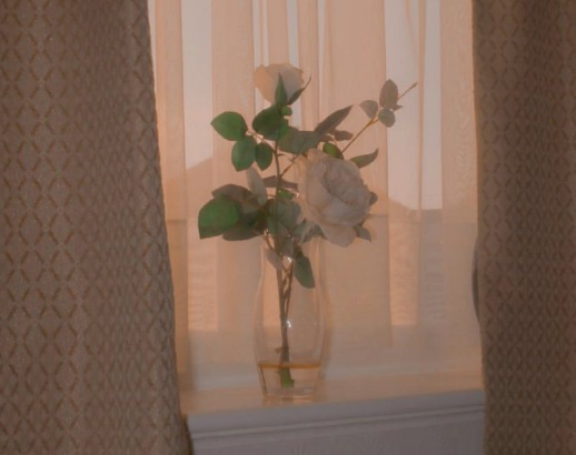 女孩子自拍发朋友圈的沙雕句子 2021俏皮又可爱的配图说说1